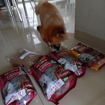 Product Review of PETOPIA  DOG DRY FOOD - 800GR - 1KG - MAKANAN ANJING from Tokopedia customer review 0