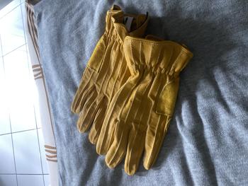 Product Review of Northy Glory Leather Gloves-Sarung Tangan Motor Kulit from Tokopedia customer review 0