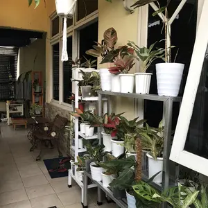 Standing planter rak pot bunga minimalis ambalan 15cm