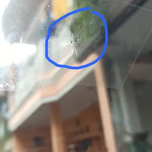 Original Reparasi kaca mobil LEM KACA MOBIL PECAH RETAK Cairan Ajaib