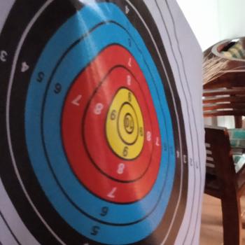 Product Review of Face Target / Print Target Panahan 50 x 50 cm / Archery from Tokopedia customer review 1