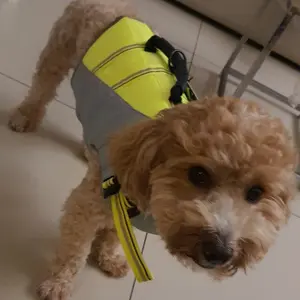 TRUELOVE Pet Swimming Life Jacket Safety Vest Dog Pelampung Anjing