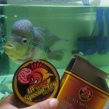 Product Review of Pelet Pakan Ikan hias louhan lohan BF 800 auto menor from Tokopedia customer review 0