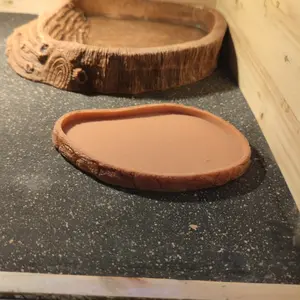 WD018A FEEDING DISH FEEDINGDISH FEEDER FOODDISH TEMPAT MAKAN REPTILE WADAH PAKAN MAKANAN KURA KURA DARAT TORTO TORTOISE SULCATA PARDALIS YNIPHORA RADIATA ALDABRA  IGUANA TEGU SALVA VARANUS BIAWAK KELOMANG ULAR PERLENGKAPAN HEWAN REPTIL