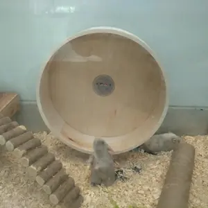 roda hamster / wheel hamster 25 cm bahan kayu ( hamster syirian)