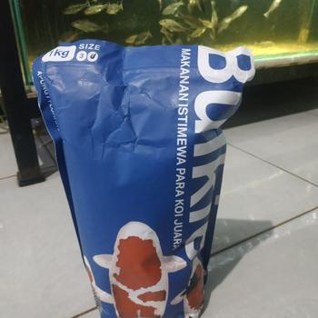 Product Review of Pakan Pelet Makanan Ikan Koi Apung 1 Kg Bulkie Hi Growth from Tokopedia customer review 0