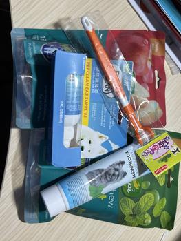 Product Review of M-Pets Toothpaste for Dog - Odol Pasta Gigi Anjing - Mpets Toothpaste Mint from Tokopedia customer review 0