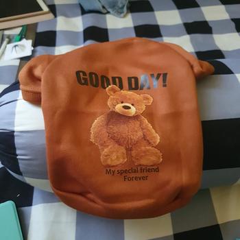 Product Review of Baju TEDDY BEAR Anjing Kucing Pet Cloth Kostum Hewan from Tokopedia customer review 0