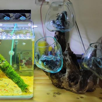 Product Review of AKUARIUM IKAN CUPANG 3 IN ONE SIZE XXL KAYU AKAR AQUARIUM - TINGKAT 3 from Tokopedia customer review 0