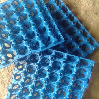 Product Review of Jamin Tray Telur Bahan Plastik from Tokopedia customer review 1