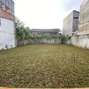 Rumput Gajah Mini 100x80cm