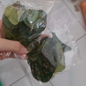 Product Review of Aneka Bumbu Bumbu Murah Hemat Ekonomis Praktis dan Higienis from Tokopedia customer review 0