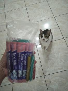 Product Review of Snack Anjing Kucing Rasa Sosis Daging Ayam Bebak Sapi Cemilan Pet from Tokopedia customer review 0