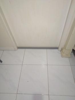 Product Review of Twin Draft Door Guard Stopper Seal Gap Strip Dust Door Stop DP from Tokopedia customer review 1
