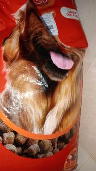 Product Review of Makanan Anjing Bolt Beef Dog Food - 20 Kg Kibble Bulat from Tokopedia customer review 1