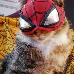 Bet Pingpong Tenis Meja Frasser Press 1008