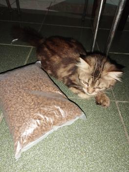Product Review of Makanan Kucing Bolt Repack 800GR Murah Tuna Cat Food MURAH !!! from Tokopedia customer review 0