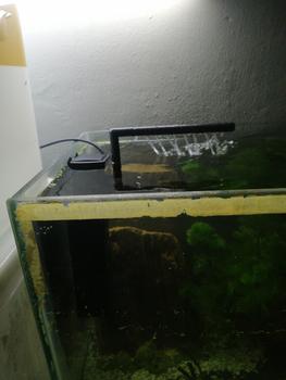 Product Review of POMPA AIR AQUARIUM INTERNAL FILTER RECENT AA 1000L 1000 L from Tokopedia customer review 0