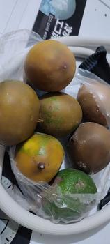 Product Review of GROSIR TERMURAH 1kg Lemon California Buah Jeruk Lemon Super from Tokopedia customer review 0