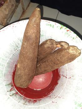 Product Review of Singkong racun - Singkong racun sapikuru segar 1 kg from Tokopedia customer review 0