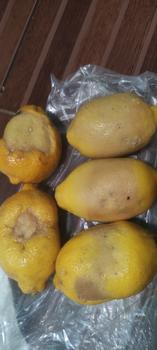 Product Review of GROSIR TERMURAH 1kg Lemon California Buah Jeruk Lemon Super from Tokopedia customer review 1