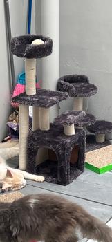 Product Review of MAINAN GARUKAN KUCING 3TIANG GARUKAN CAT TREE CONDO from Tokopedia customer review 0