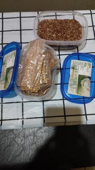 Product Review of Rumput Kucing Paket Benih Seed Cat Grass Rumput Gandum Makanan Kucing from Tokopedia customer review 0