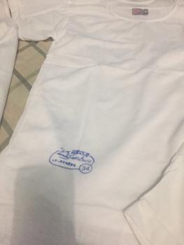 Product Review of SINGLET SWAN PRIA DEWASA [ 34-36-38-40-42 ] / KAOS DALAM PRIA from Tokopedia customer review 0