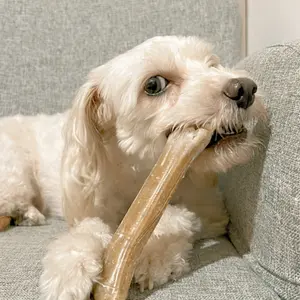 Snack dog pressed bone tulang gigitan anjing dog hewan treat snack