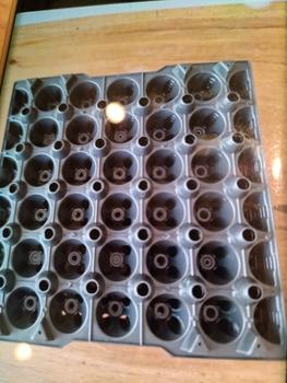 Product Review of Jamin Tray Telur Bahan Plastik from Tokopedia customer review 0