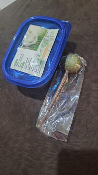 Product Review of Rumput Kucing Paket Benih Seed Cat Grass Rumput Gandum Makanan Kucing from Tokopedia customer review 0