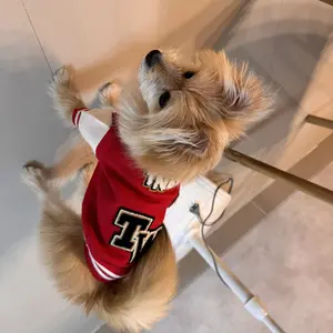 Petpaw Baju Anjing Kucing Jaket Outer Varsity Premium Import Jacket