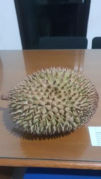 Product Review of Santapan Minang Paru Goreng Kering Asli Padang 200 gram from Tokopedia customer review 0