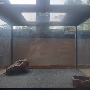 PAKET S HIDING CAVE DAN WATERDISH SMALL SEPAKET  TEMPAT MAKAN MINUM TARANTULA KALAJENGKING GECKO KELOMANG ULER CORNSNAKE