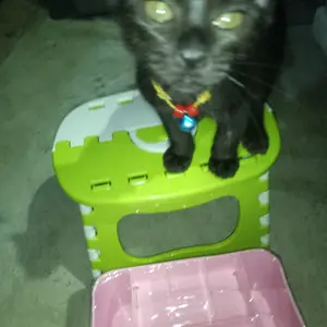 AZ Kursi Mini Lipat Portable Praktis Kursi Anak anak Plastik Tebal