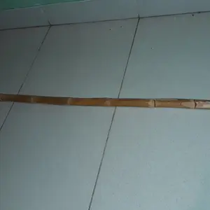 Tongkat Toya Rotan / Tongkat Rotan / Kayu Rotan Beladiri Wushu 160 cm