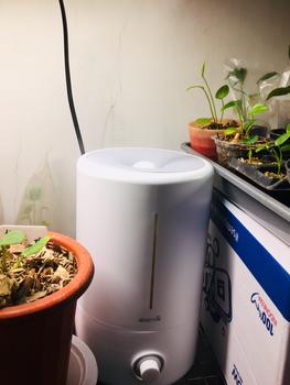 Product Review of Deerma F628S Air Humidifier Purifier Diffuser UV Sterilizer - F628S from Tokopedia customer review 3