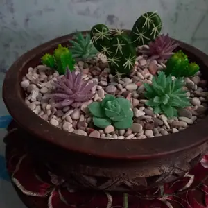 Batu Alam Putih Koral Putih 1KG batu taman hiasan tanaman pot dekorasi