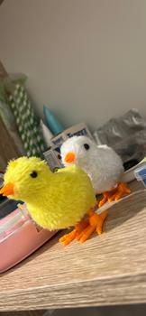 Product Review of TAIYO Mainan Anak Ayam Itik Berjalan Kelinci Burung Model Putar Plush Bayi Toy Animal Hewan Lucu Gerak kado bubble Dolls Toys from Tokopedia customer review 0