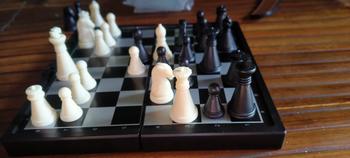 Product Review of Mainan Catur Magnetic Mini Board Game Portable - Ludo Magnetic Mini from Tokopedia customer review 1