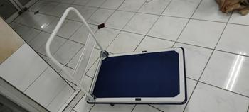 Product Review of Handtruck 300 kg/Troli angkut barang/Trolley 60x90 from Tokopedia customer review 0
