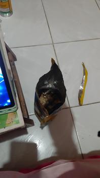 Product Review of Keripik Kulit Ikan / Fish Skin Rasa Original Raftels 75gr Halal from Tokopedia customer review 0