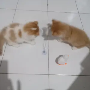Mainan Kucing Anjing Cat Toys - Dog Toys - Ayam Jalan