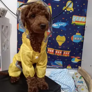 Jas Hujan Anjing Premium XS-7XL | Raincoat Kostum Hewan Lucu Anti Air Model Katak Panda - Si Merci