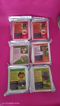 Product Review of pupuk booster mangga pupuk buah melebatkan dan mempercepat from Tokopedia customer review 0