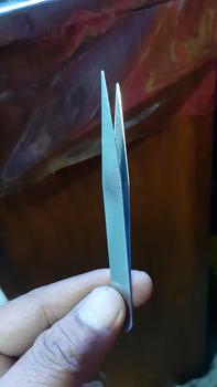 Product Review of Pinset 10 cm Kecoa Dubia Jangkrik Ulat Hongkong from Tokopedia customer review 0