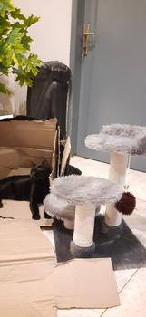 Product Review of MAINAN GARUKAN KUCING 3TIANG GARUKAN CAT TREE CONDO from Tokopedia customer review 1