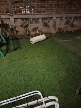 Product Review of DRAINASE RUMPUT SINTETIS tebal 3 CM UK 25 x 25 CM (HARGA PABRIK) from Tokopedia customer review 0