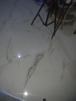 Product Review of Pinset 10 cm Kecoa Dubia Jangkrik Ulat Hongkong from Tokopedia customer review 0