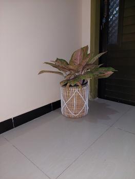 Product Review of Keranjang Anyaman Banana Macrame / Cover Pot / Keranjang Macrame from Tokopedia customer review 0